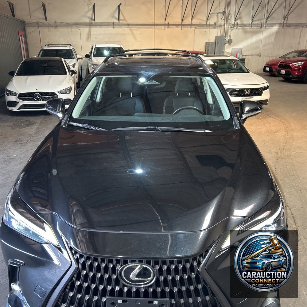 2024 Lexus NX 350h Base