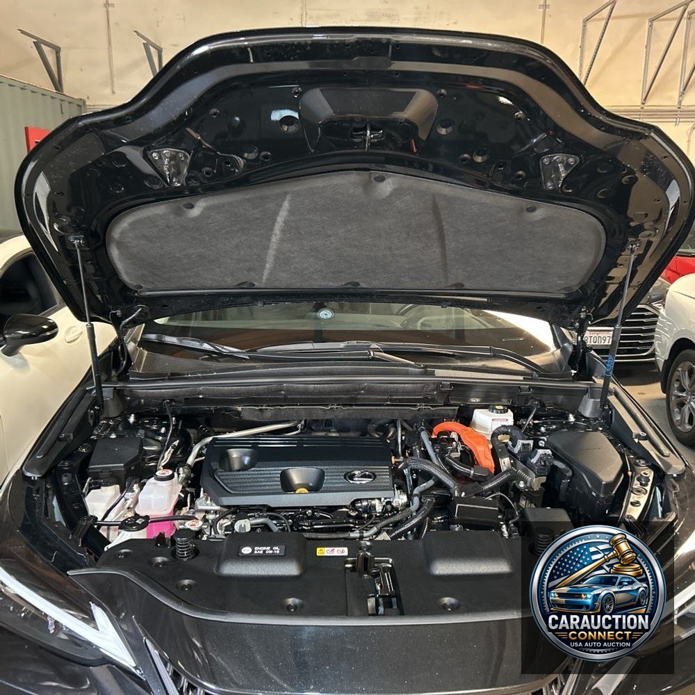 2024 Lexus NX 350h Base