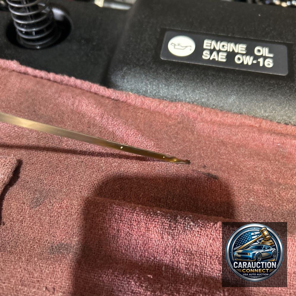2024 Lexus NX 350h Base
