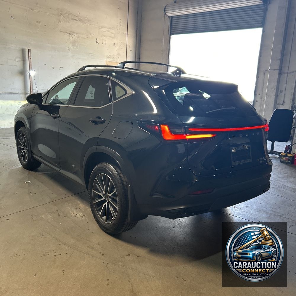 2024 Lexus NX 350h Base