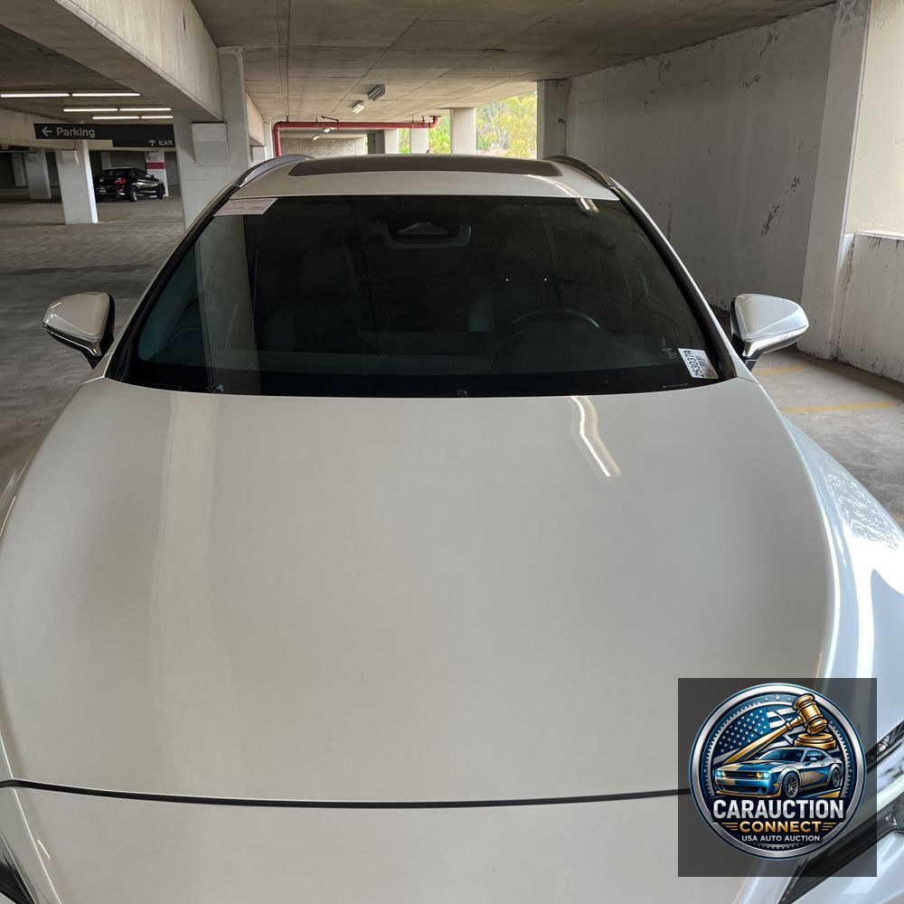 2023 Lexus RX 350 Premium+