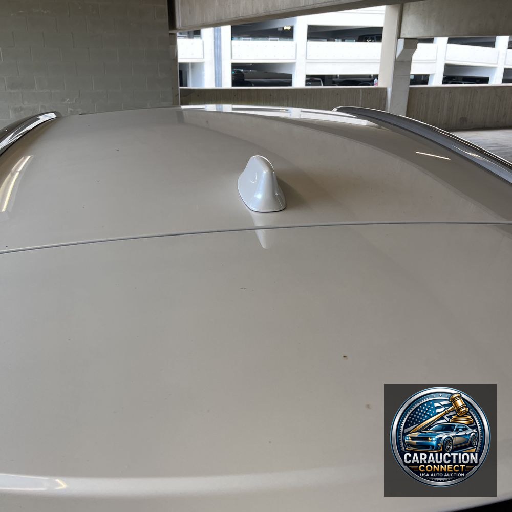 2023 Lexus RX 350 Premium+