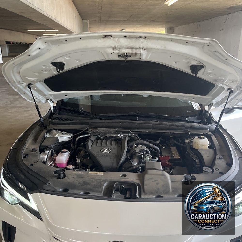 2023 Lexus RX 350 Premium+