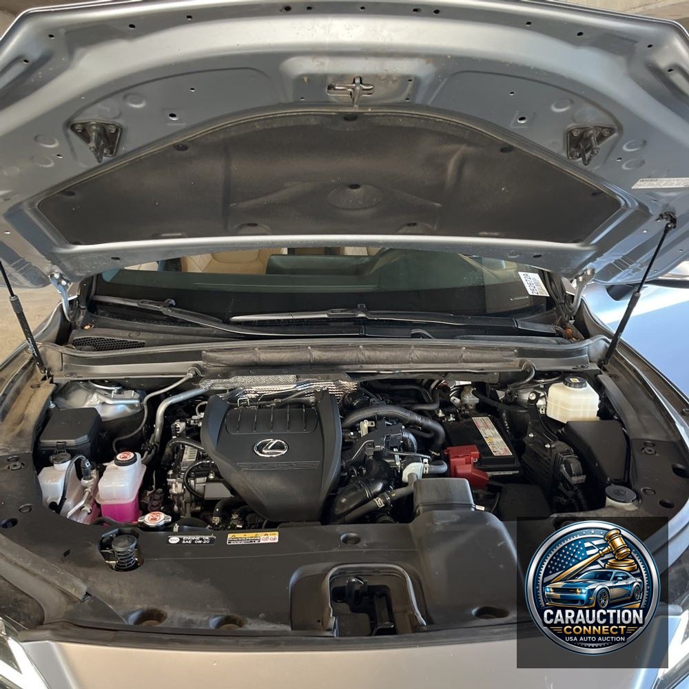 2023 Lexus RX 350 Premium