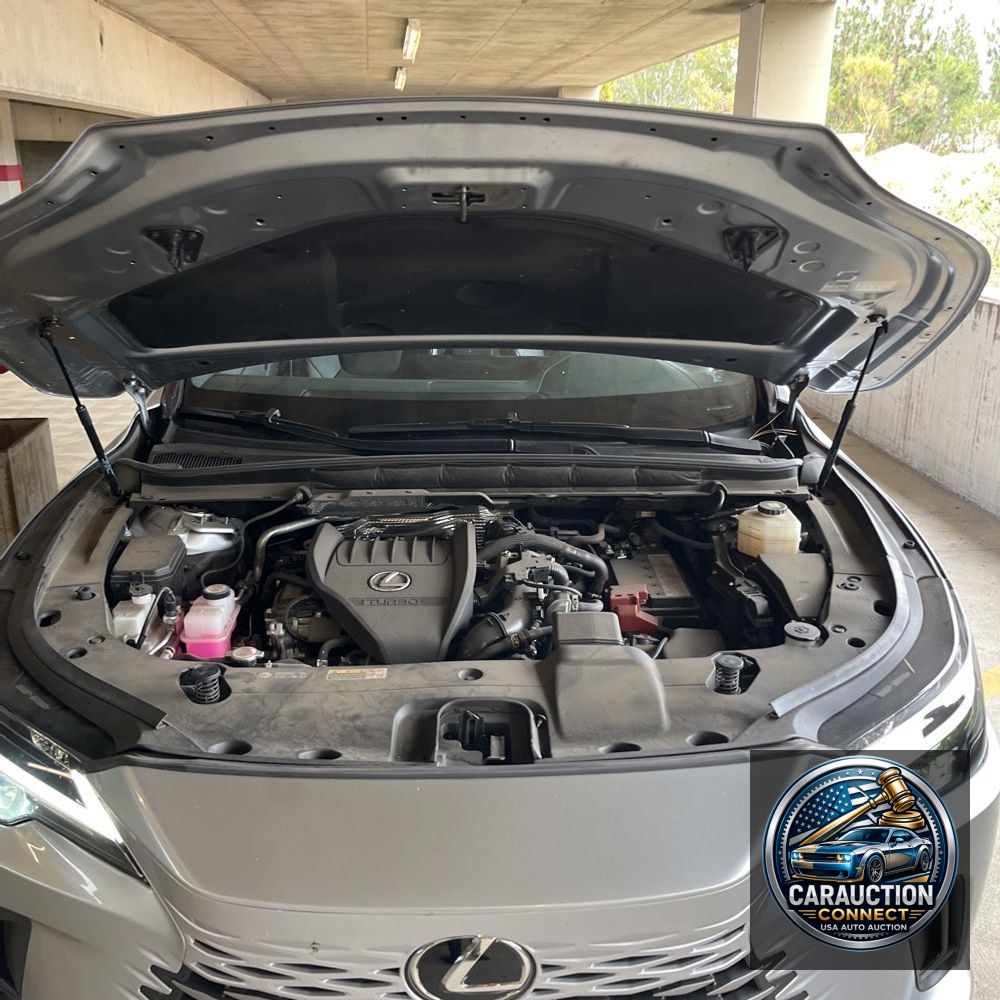 2023 Lexus RX 350 Premium+