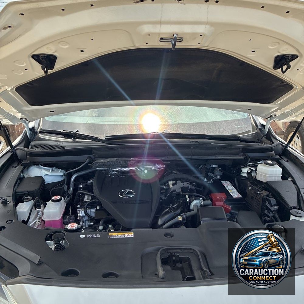 2023 Lexus RX 350 Premium+