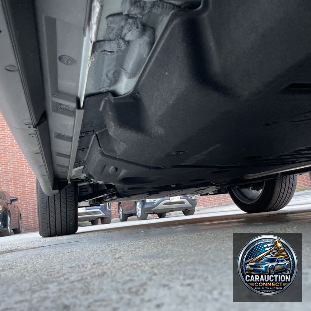 2024 Lexus RX 350 Premium+