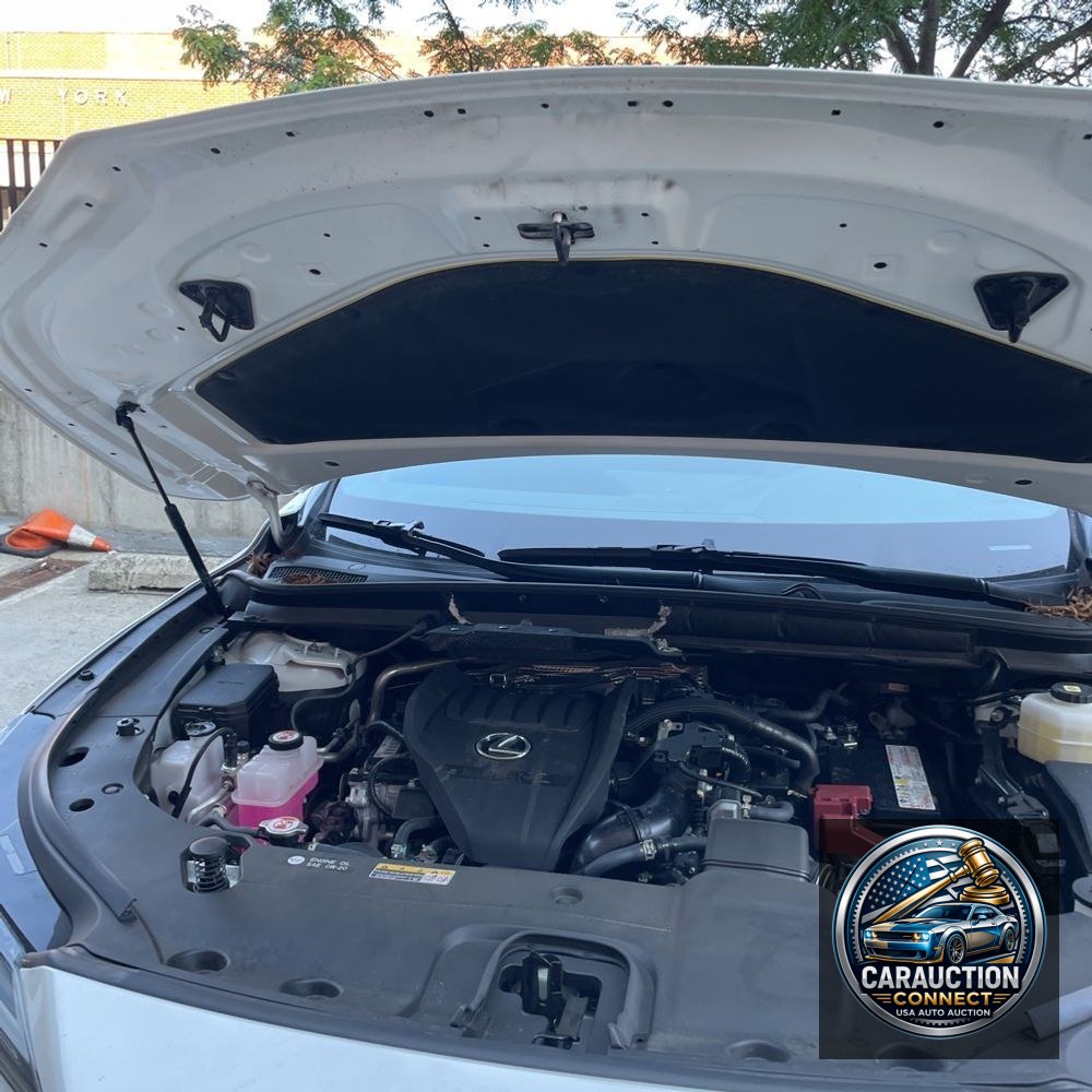 2024 Lexus RX 350 Premium+