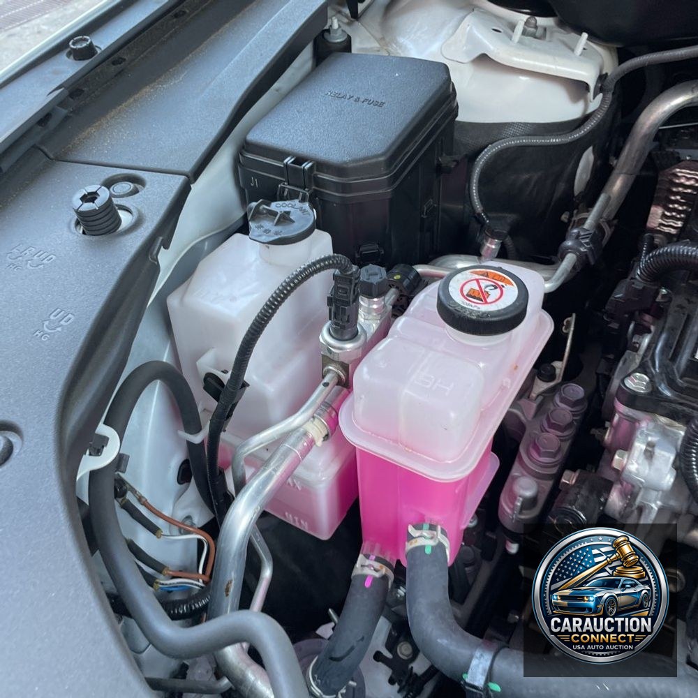 2024 Lexus RX 350 Premium+