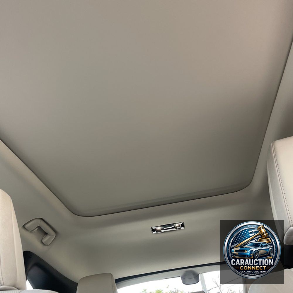 2024 Lexus RX 450h+ Luxury