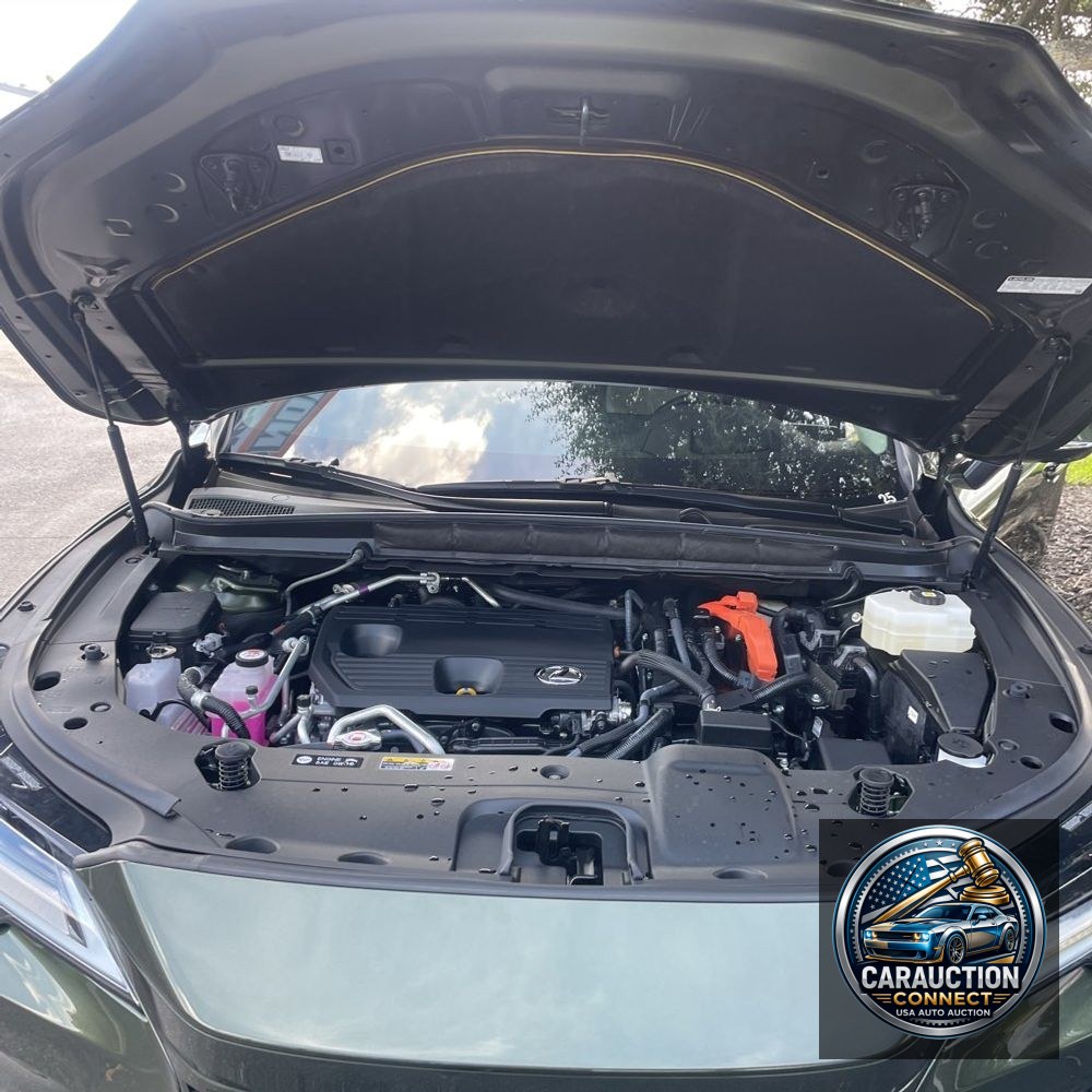 2024 Lexus RX 450h+ Luxury