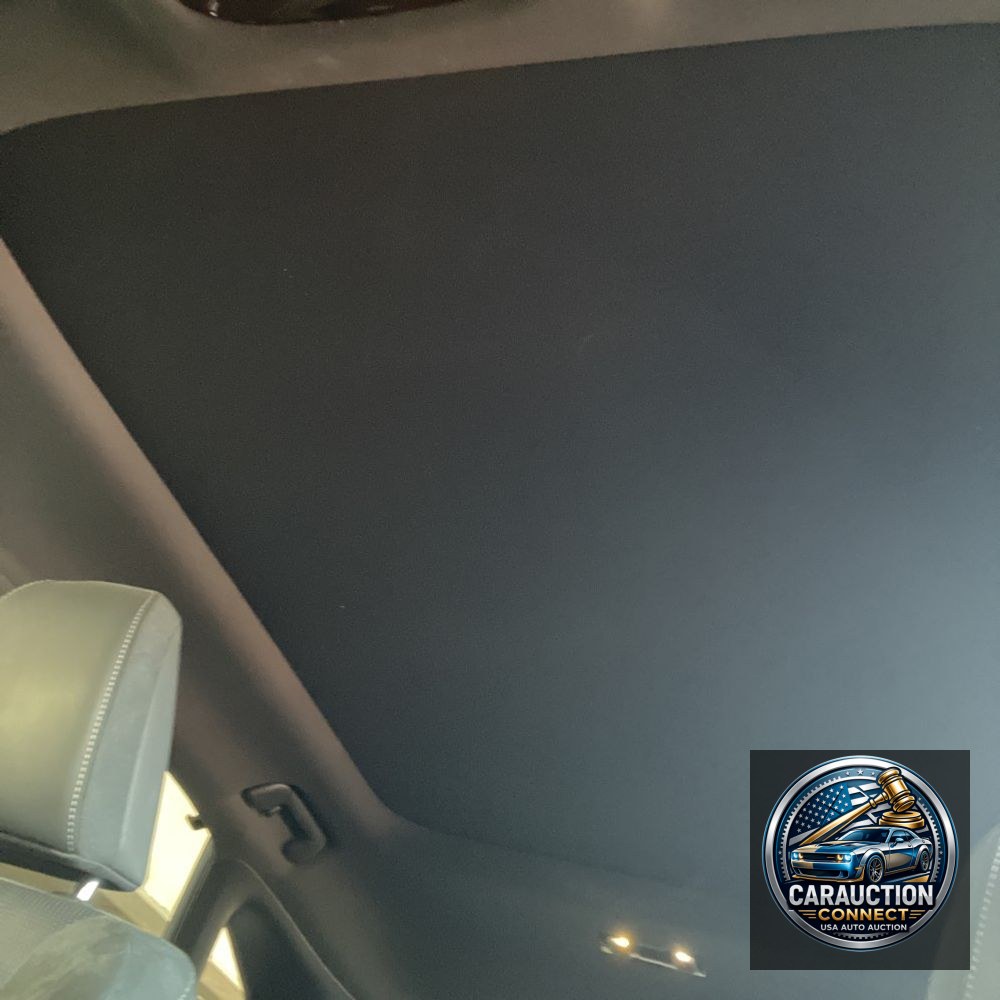 2024 Lexus RX 450h+ Luxury