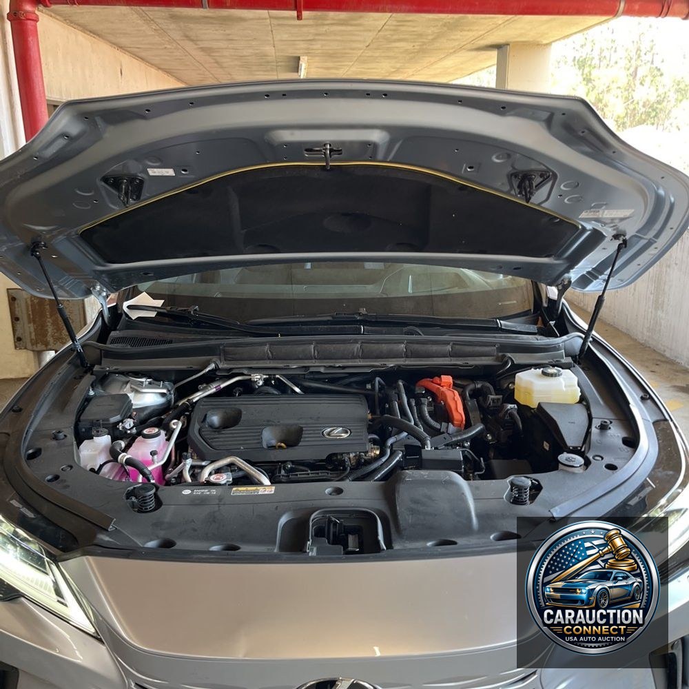 2024 Lexus RX 450h+ Luxury