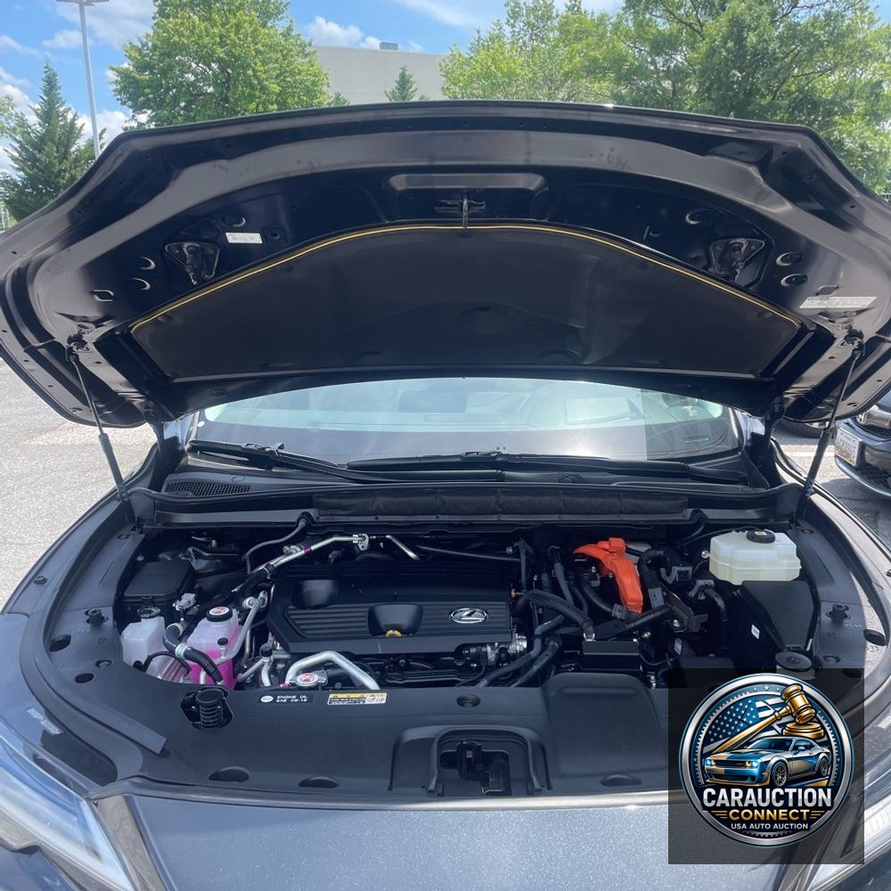 2024 Lexus RX 450h+ Luxury