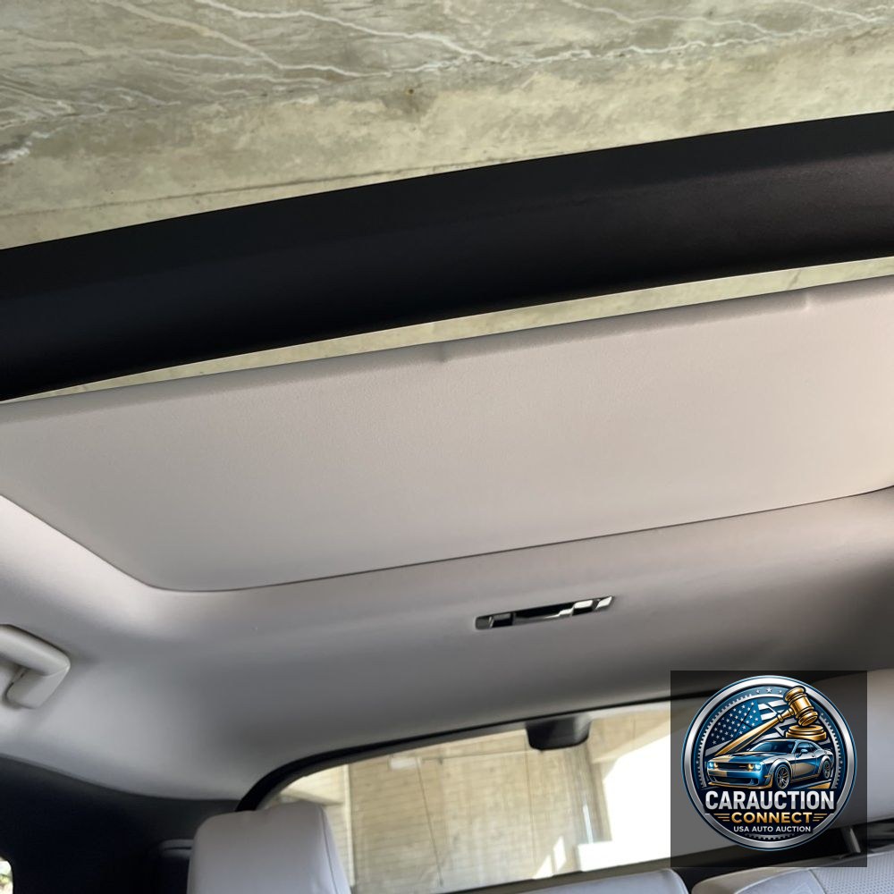 2024 Lexus RX 450h+ Luxury