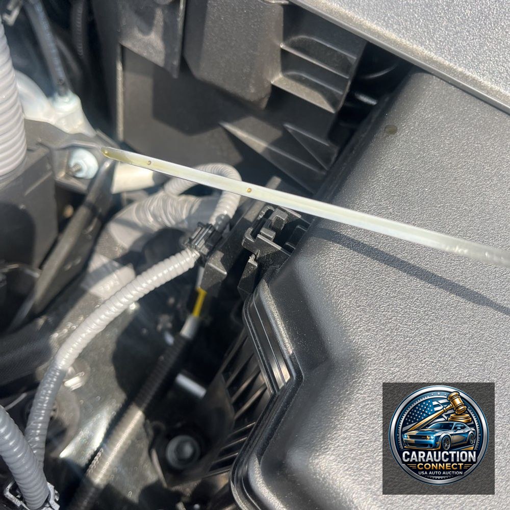 2025 Lexus LX 600 Luxury