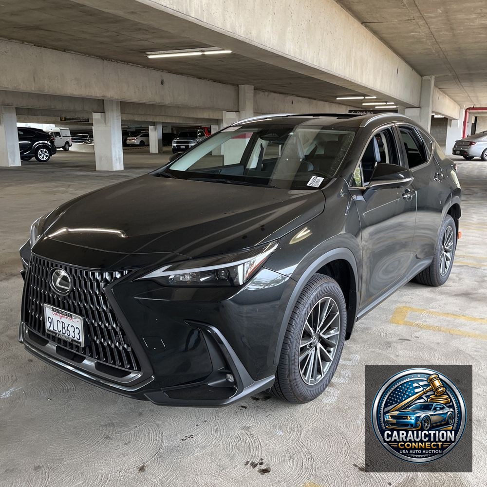 2024 Lexus NX 350h Premium