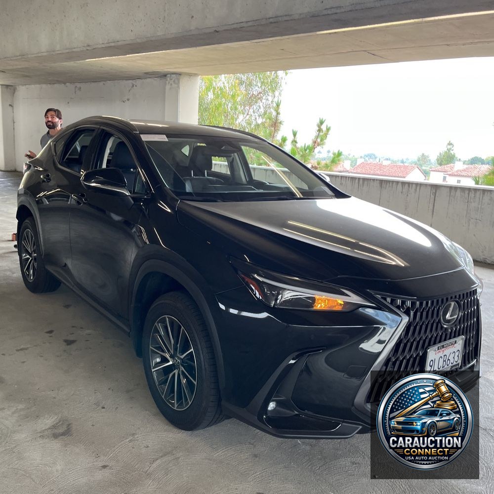 2024 Lexus NX 350h Premium