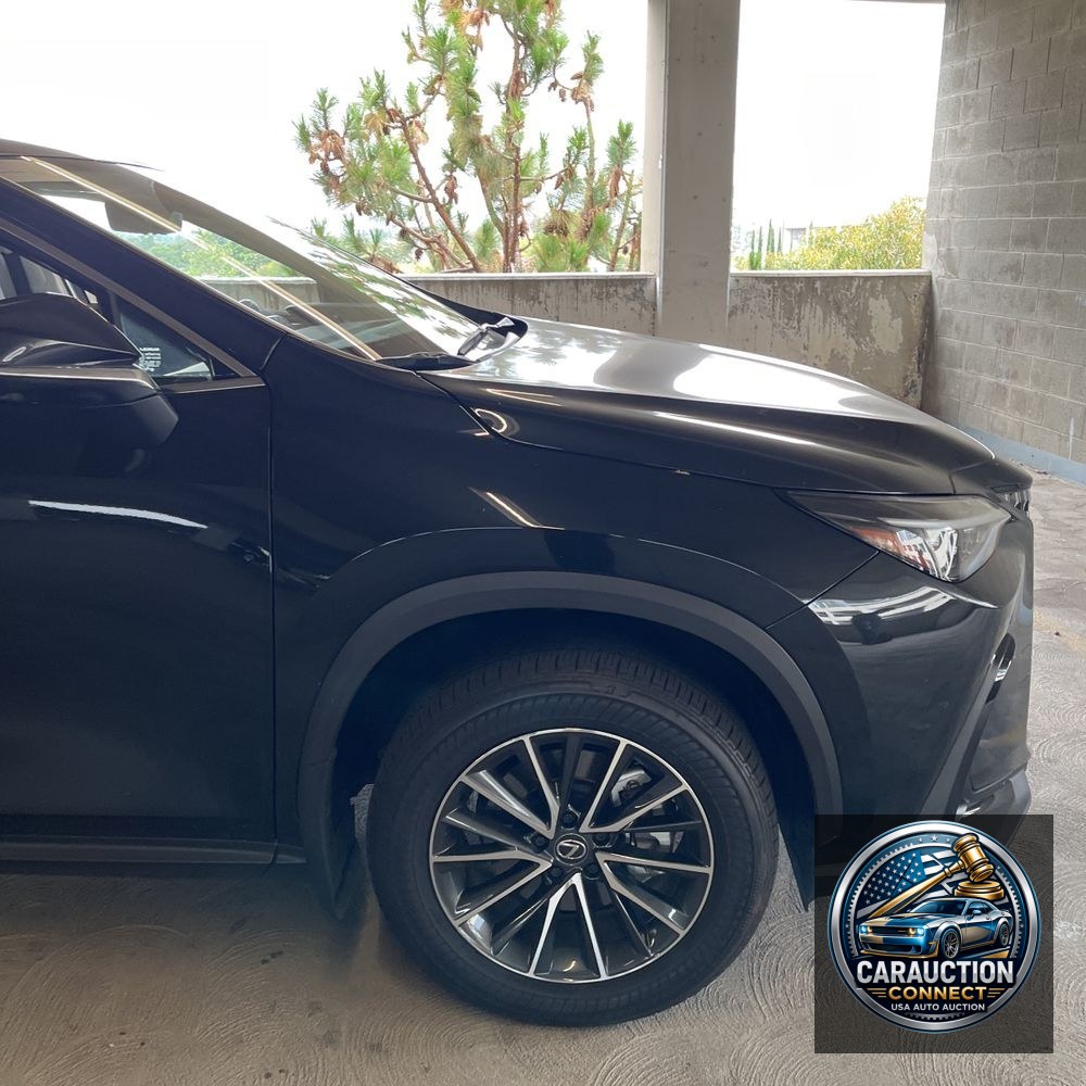 2024 Lexus NX 350h Premium