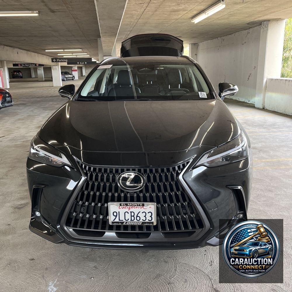 2024 Lexus NX 350h Premium