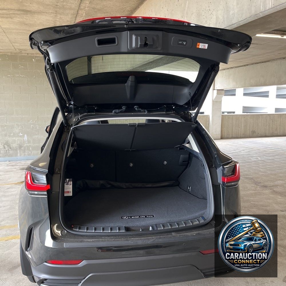 2024 Lexus NX 350h Premium