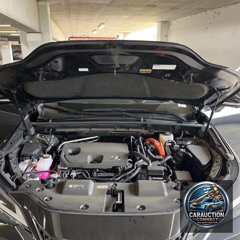 2024 Lexus NX 350h Premium