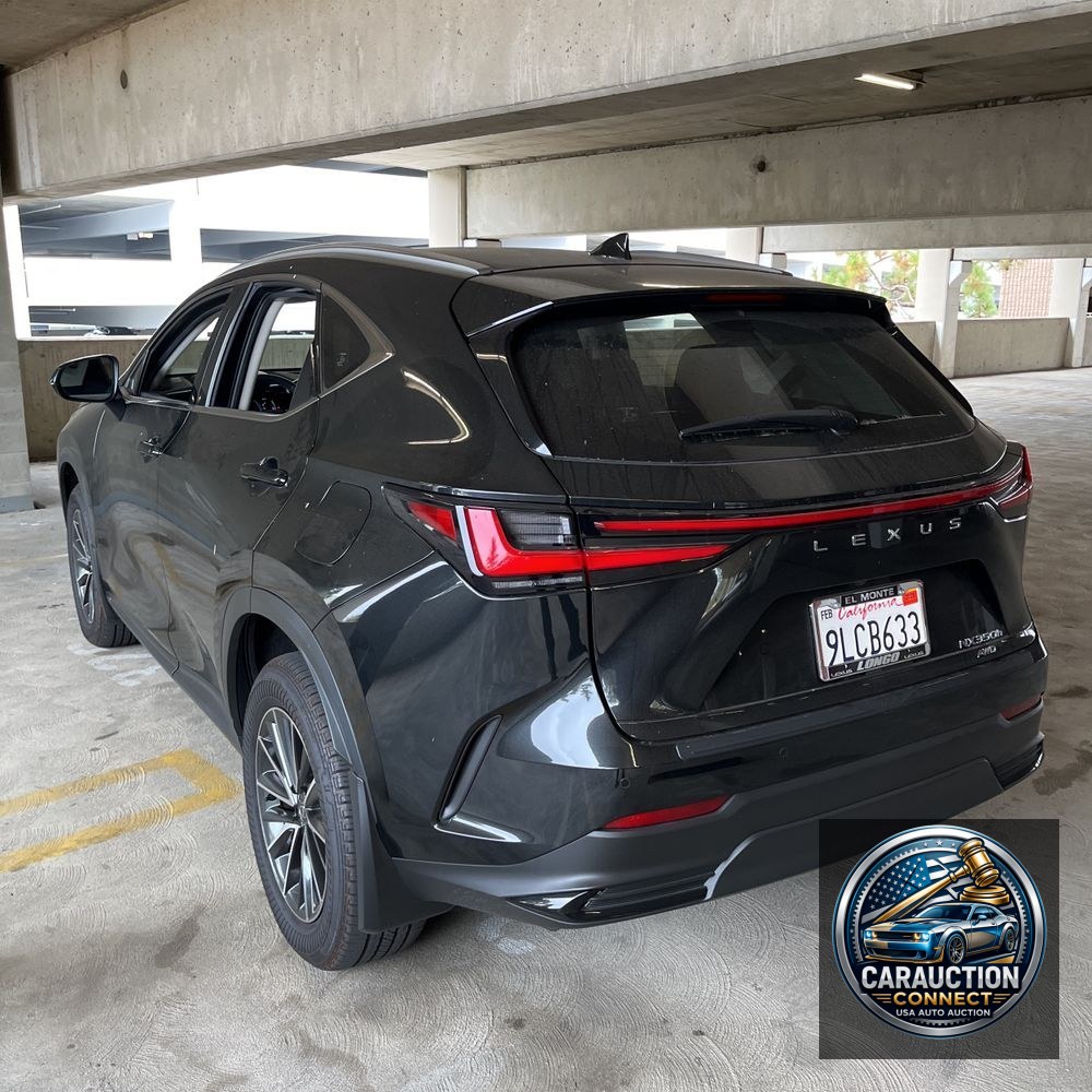 2024 Lexus NX 350h Premium