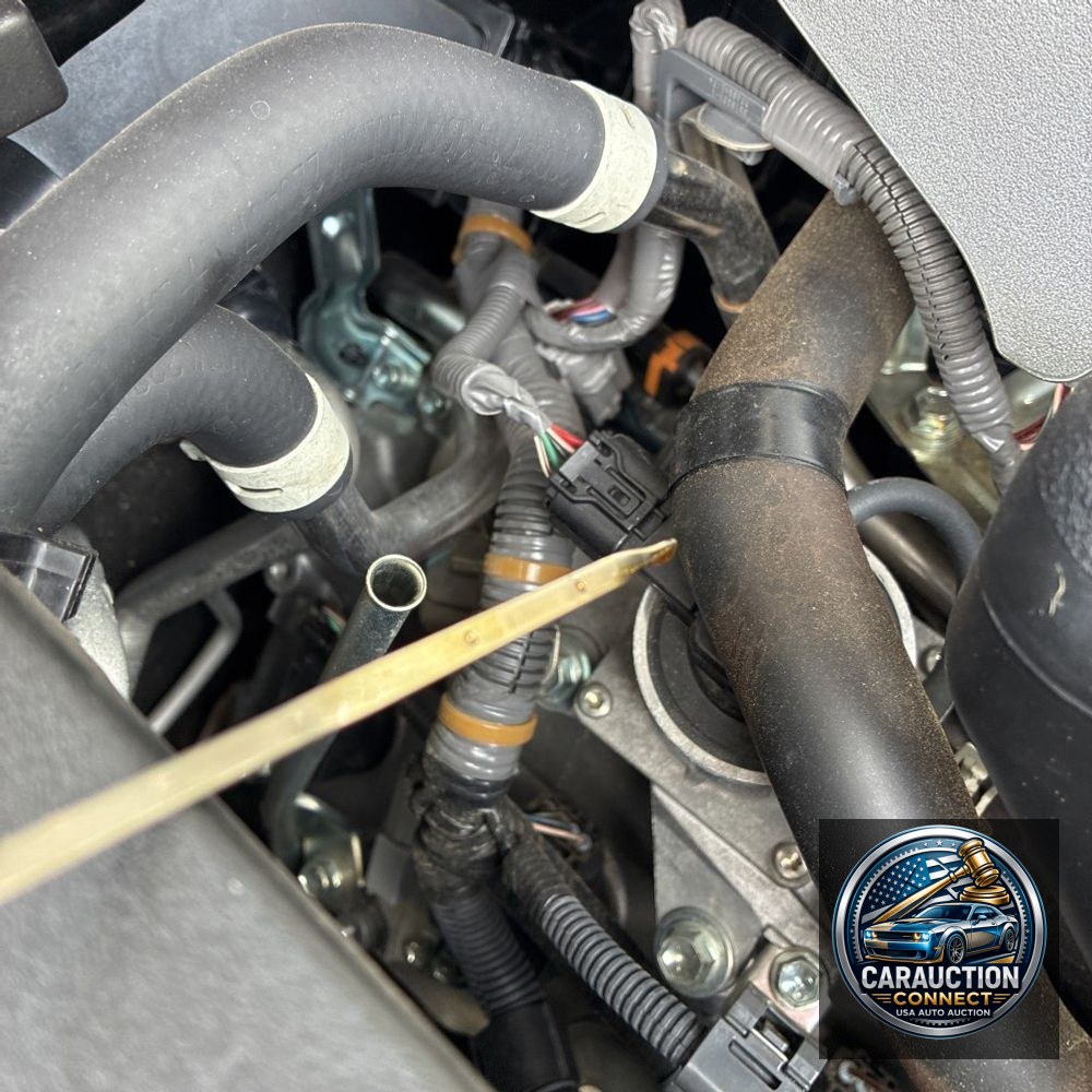 2022 Lexus GX 460 Luxury