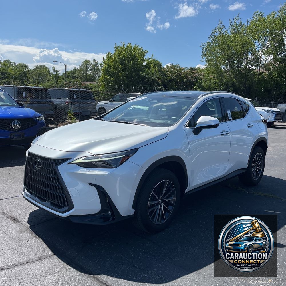 2024 Lexus NX 350 Luxury