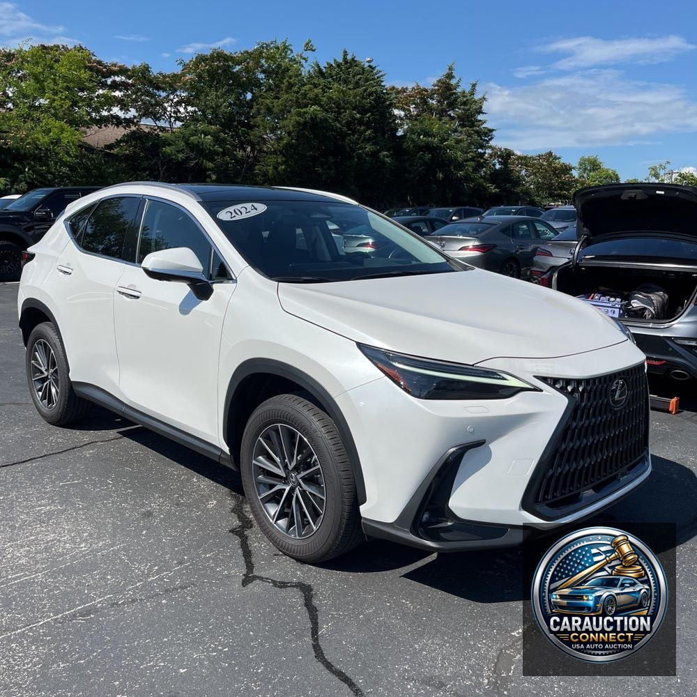 2024 Lexus NX 350 Luxury