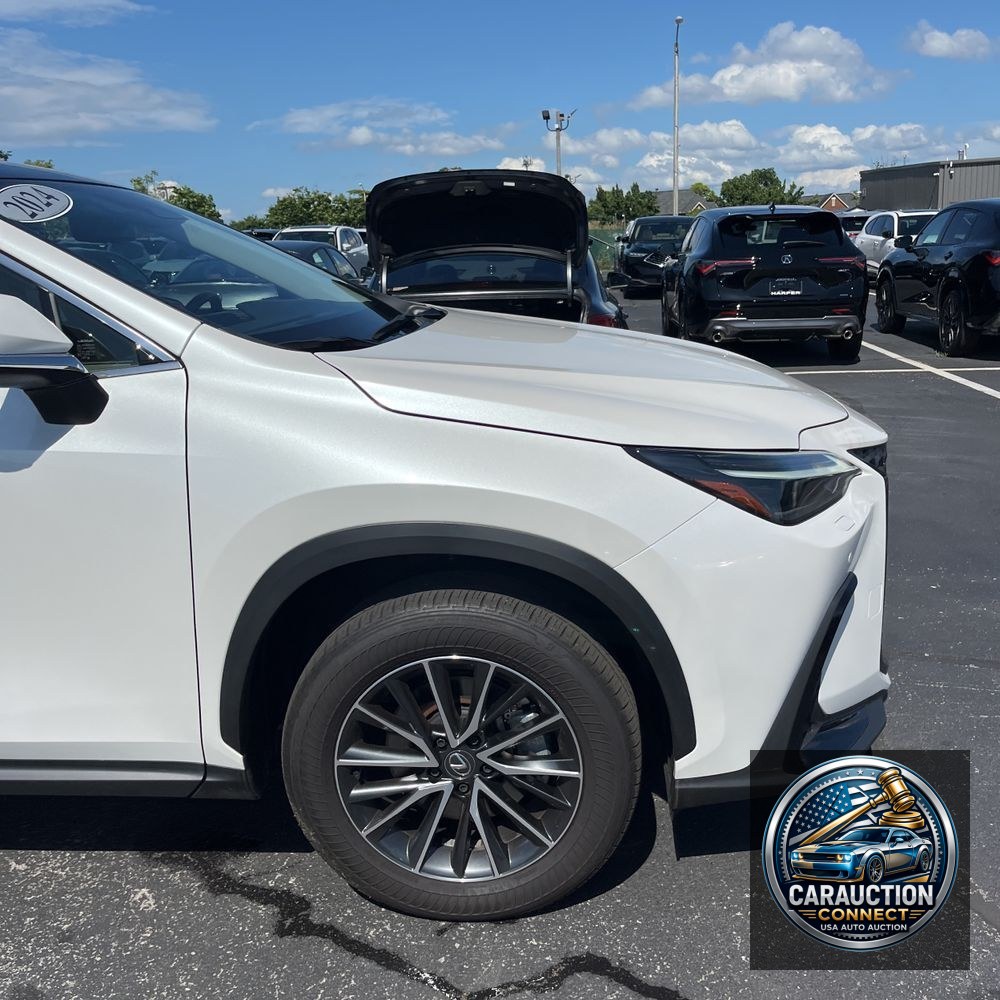 2024 Lexus NX 350 Luxury