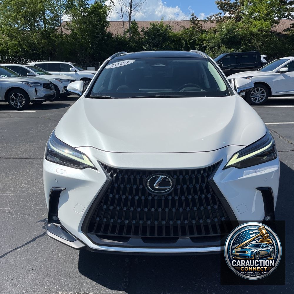 2024 Lexus NX 350 Luxury