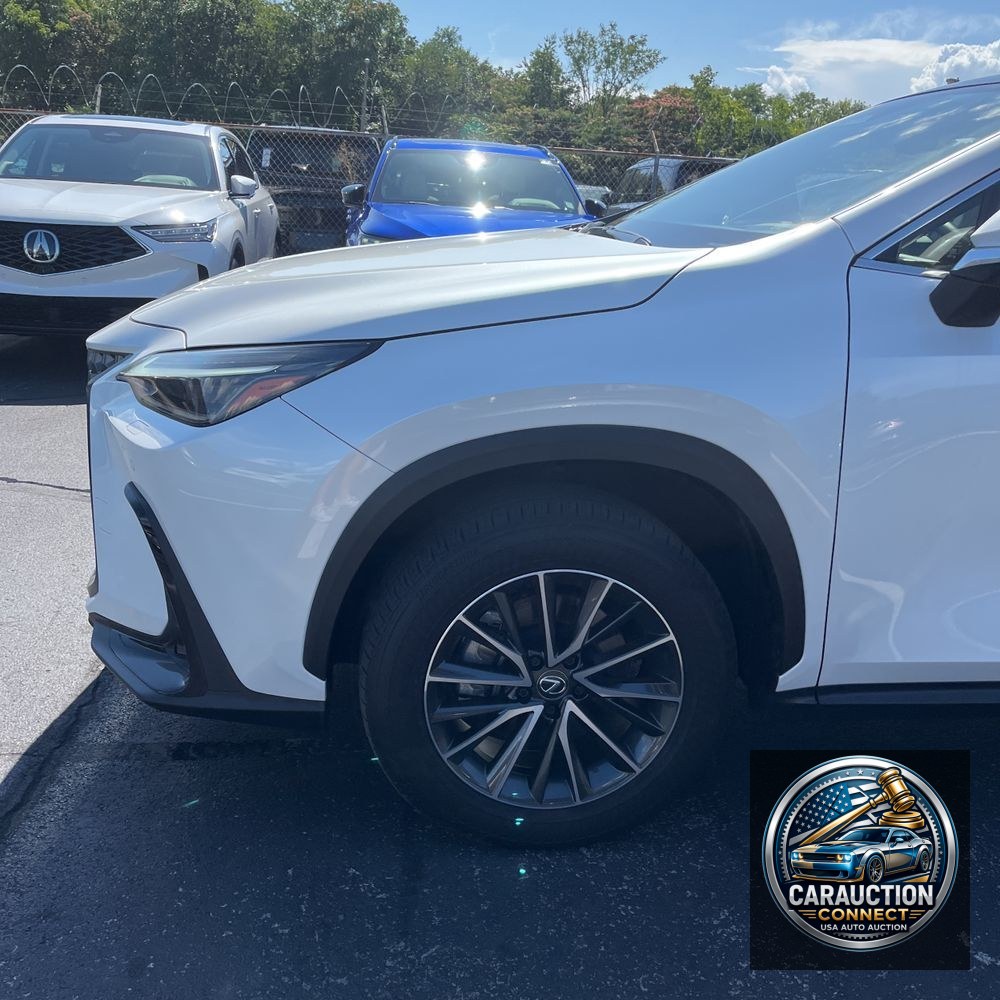 2024 Lexus NX 350 Luxury