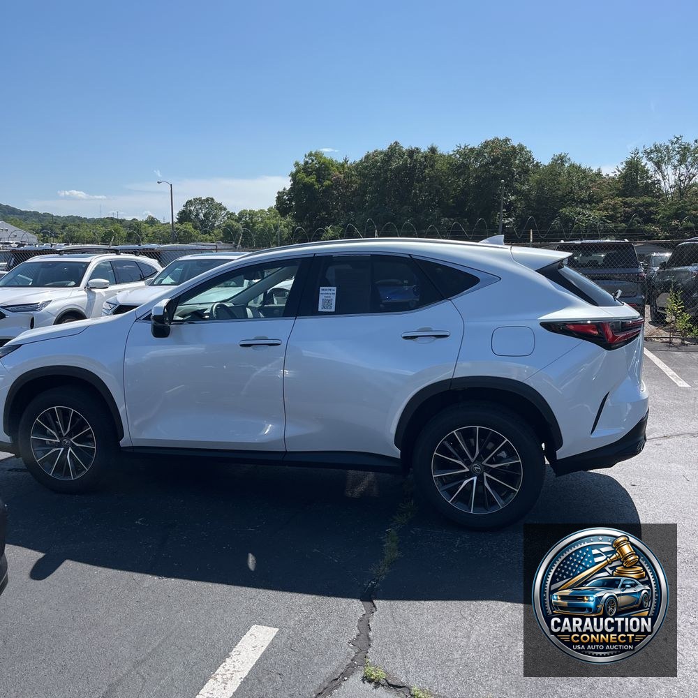 2024 Lexus NX 350 Luxury