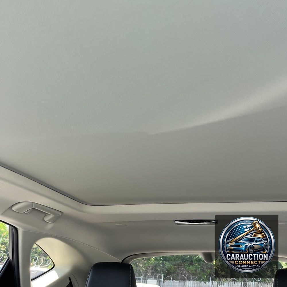 2024 Lexus NX 350 Luxury