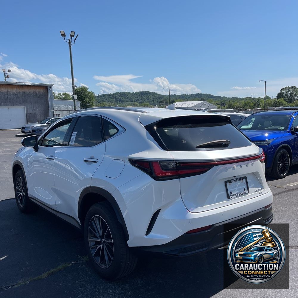 2024 Lexus NX 350 Luxury