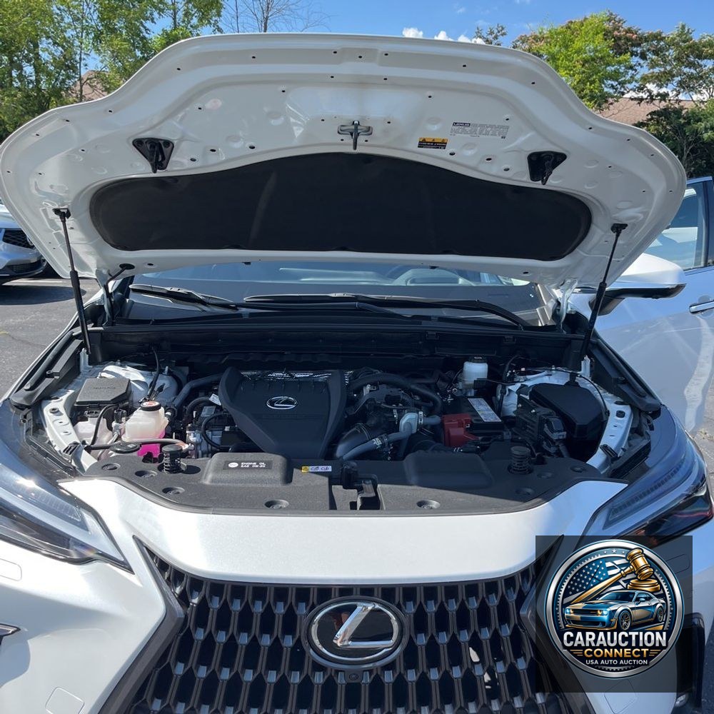 2024 Lexus NX 350 Luxury