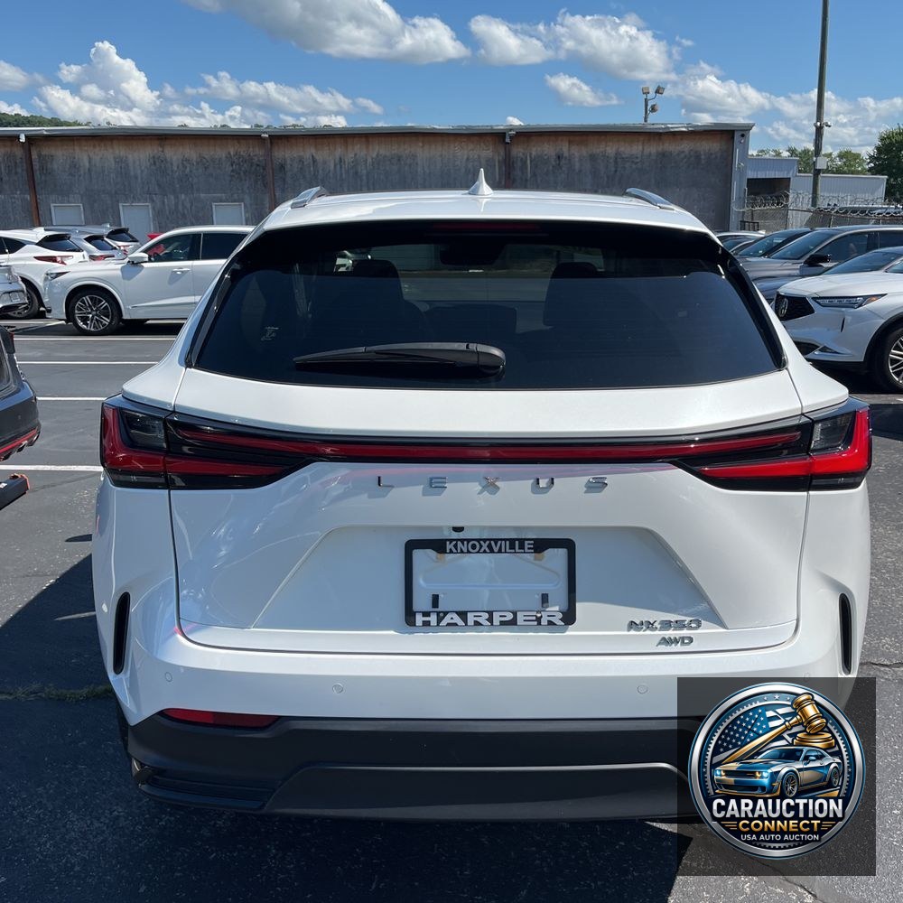 2024 Lexus NX 350 Luxury