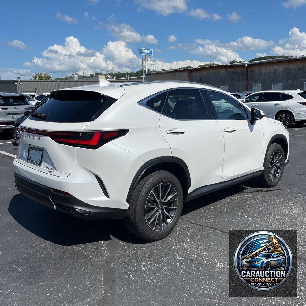2024 Lexus NX 350 Luxury