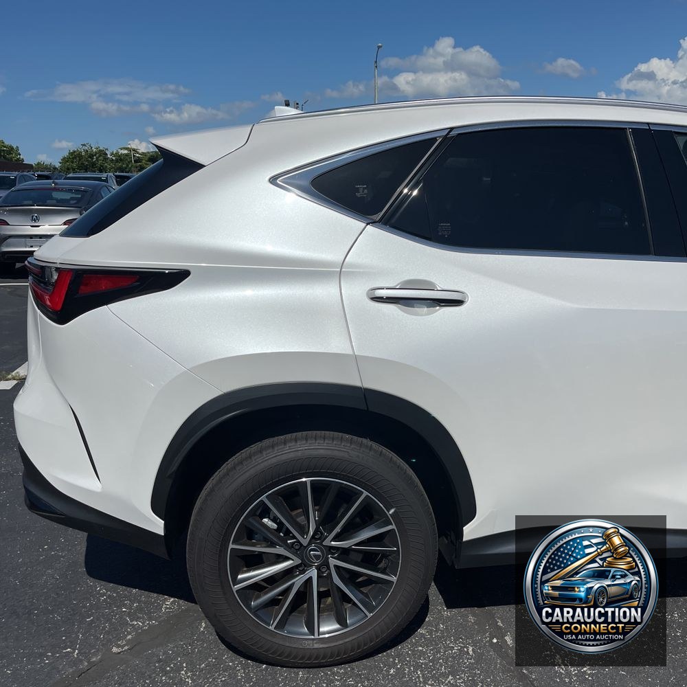 2024 Lexus NX 350 Luxury