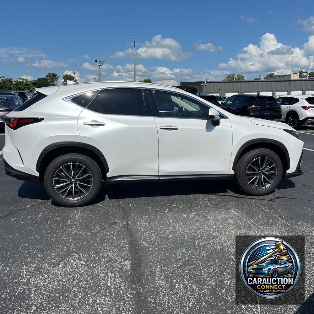2024 Lexus NX 350 Luxury