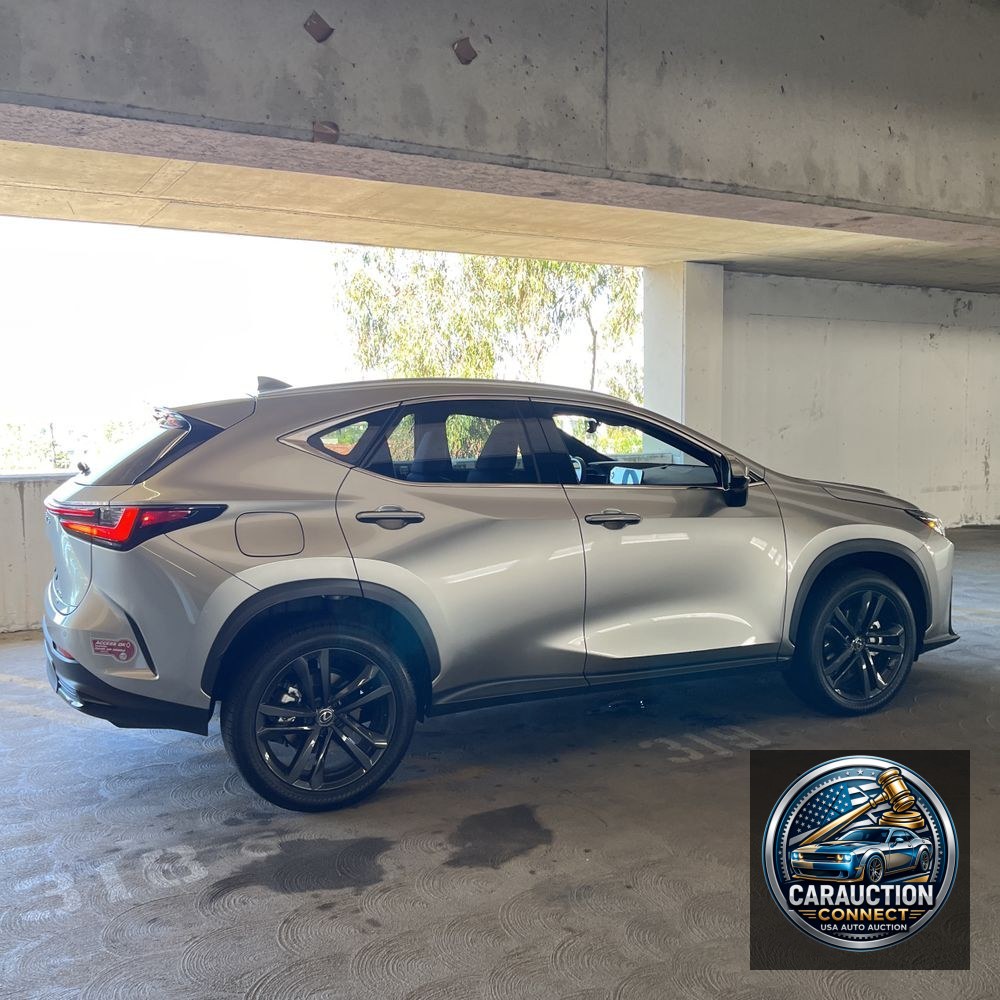 2024 Lexus NX 450h+ Base