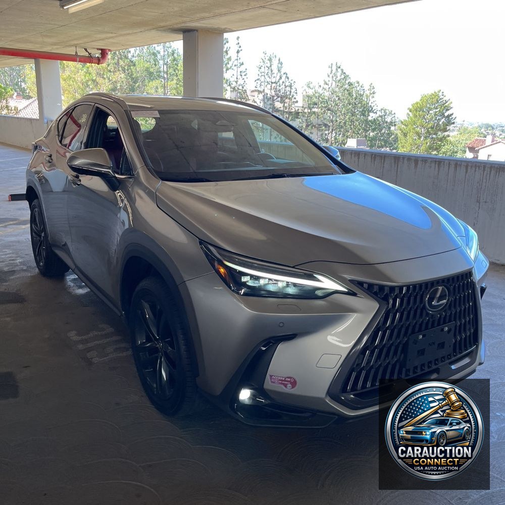 2024 Lexus NX 450h+ Base