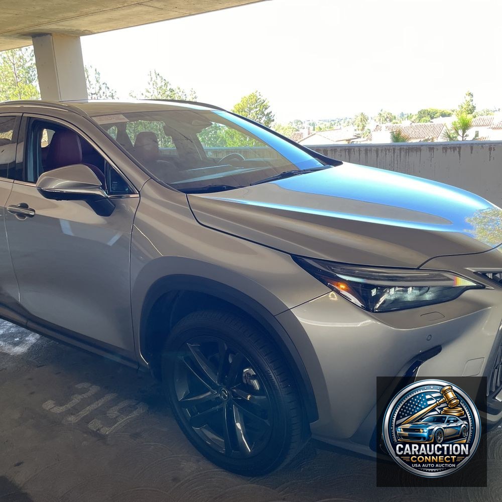 2024 Lexus NX 450h+ Base