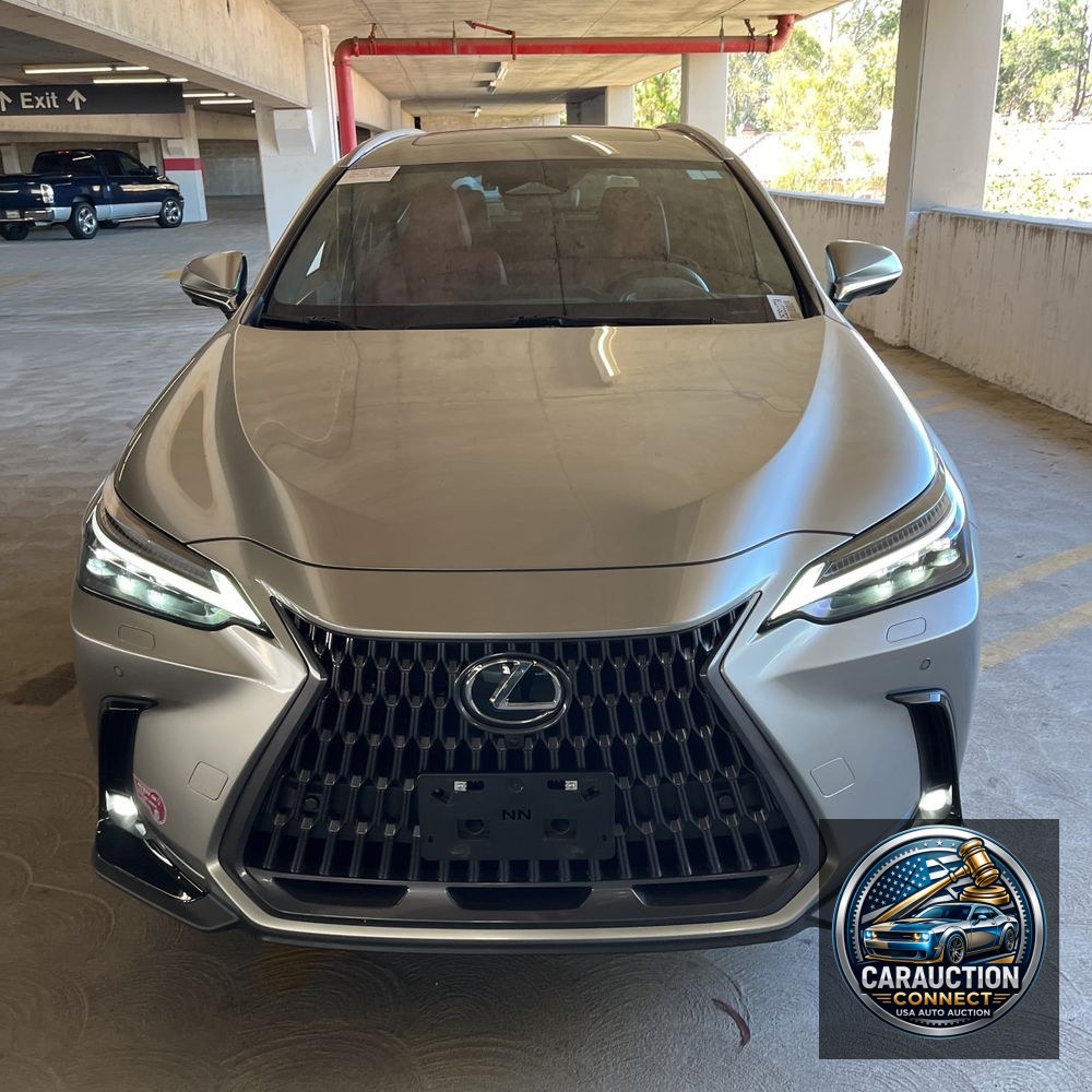 2024 Lexus NX 450h+ Base