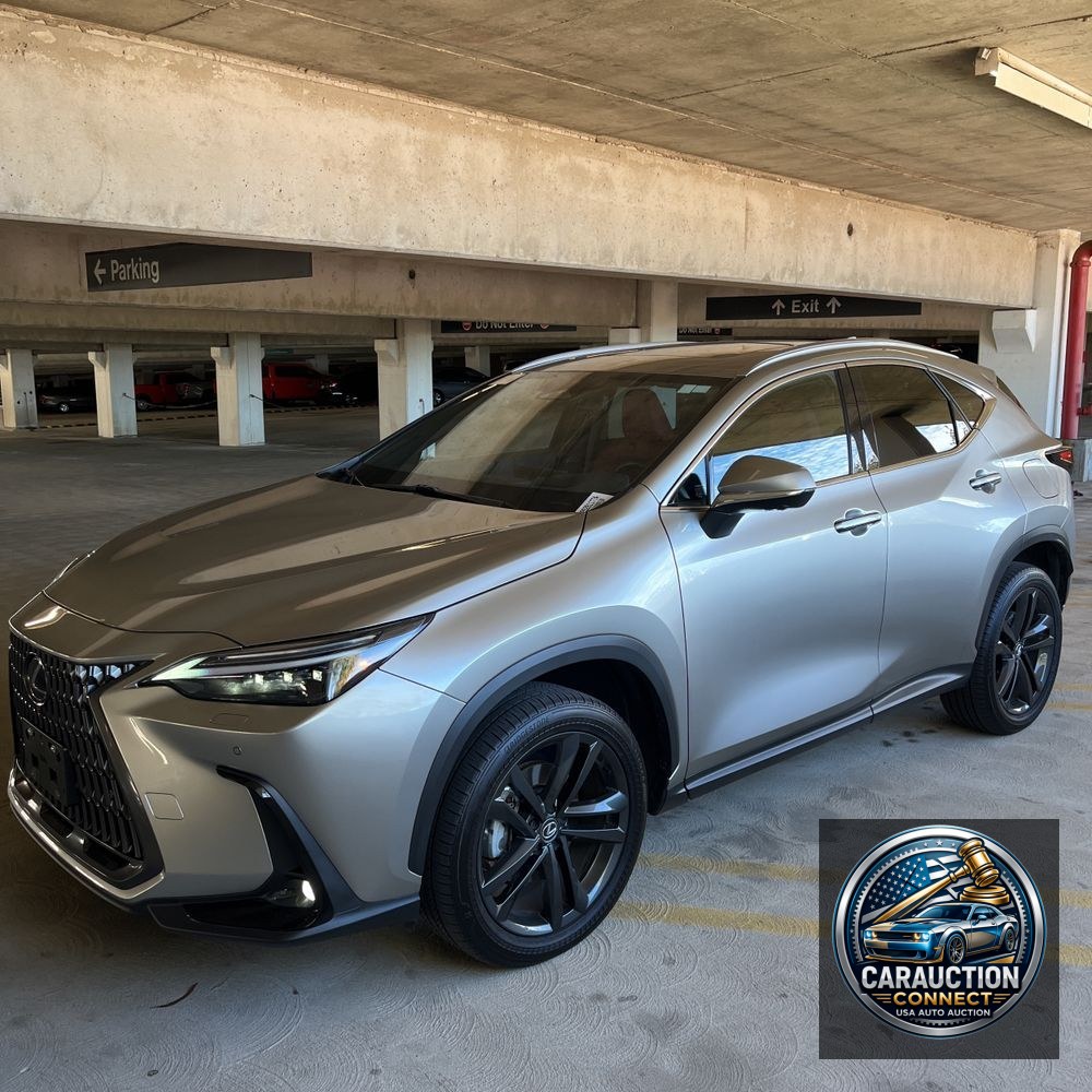 2024 Lexus NX 450h+ Base