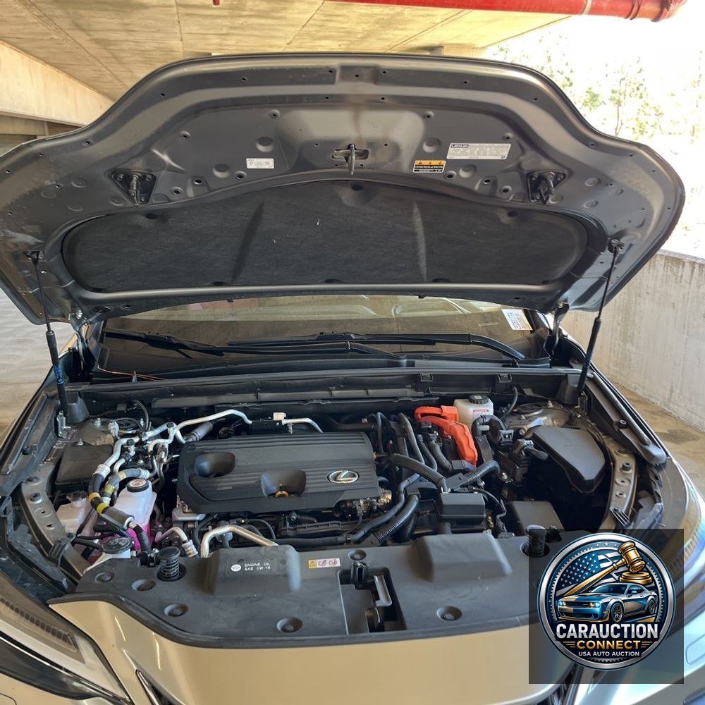 2024 Lexus NX 450h+ Base