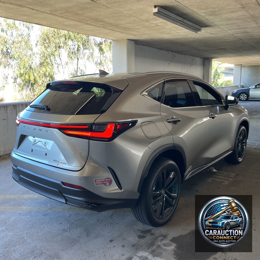 2024 Lexus NX 450h+ Base
