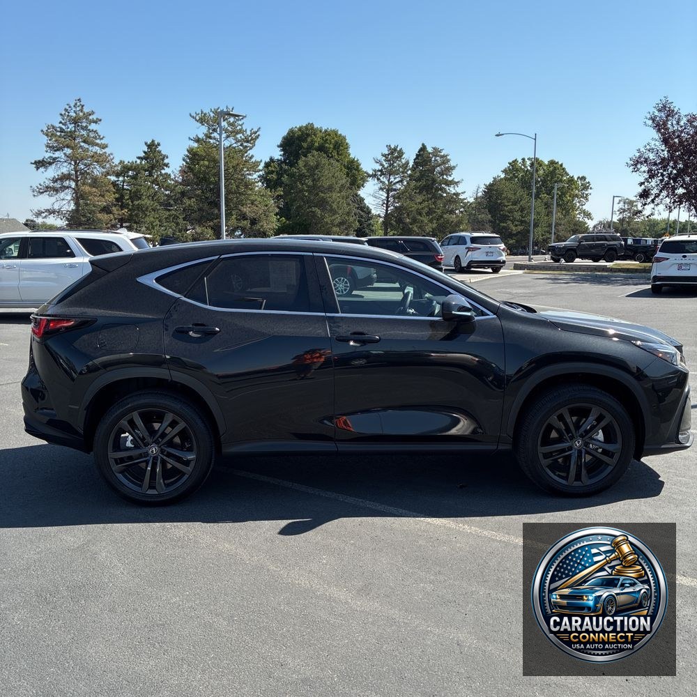2025 Lexus NX 450h+ Base