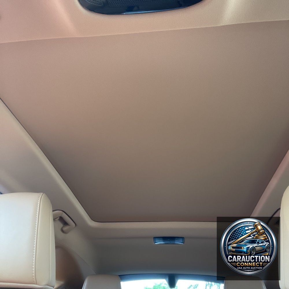 2025 Lexus NX 450h+ Base
